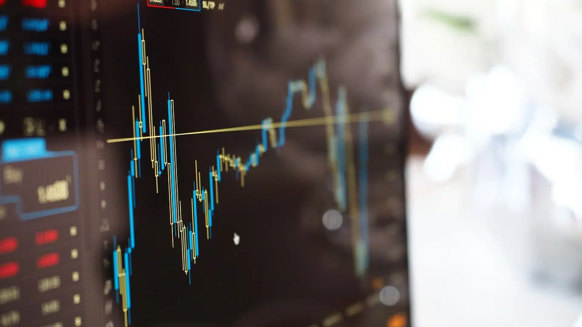Les placements et les investissements les plus rentables : le point
