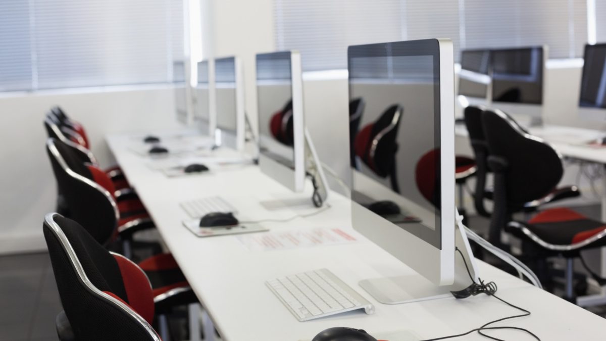 L'importance de la dératisation dans les espaces de coworking technologiques
